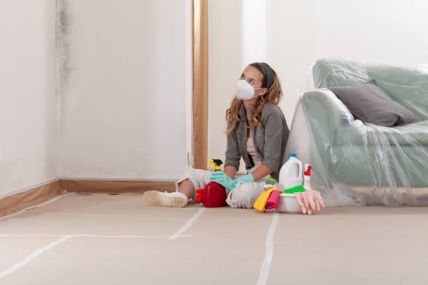 Reliable Mold Cleanup contractor in Clearwater, FL by WQB Mold Removal